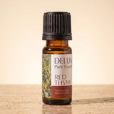 Red Thyme Pure Essential Oil