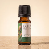 Scots Pine Pure Essential Oil