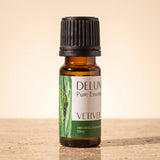 Vetiver Pure Essential Oil