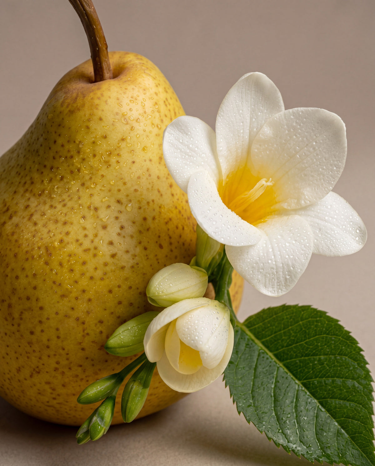 Pear & Freesia Bloom scent notes: a ripe pear with white freesia flowers
