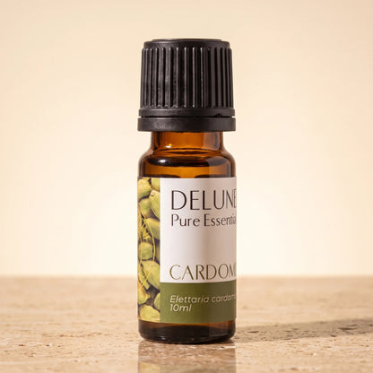 Delune Cardamom Pure Essential Oil, 10ml amber glass bottle on warm travertine stone