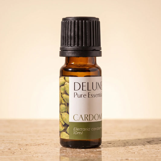 Delune Cardamom Pure Essential Oil, 10ml amber glass bottle on warm travertine stone