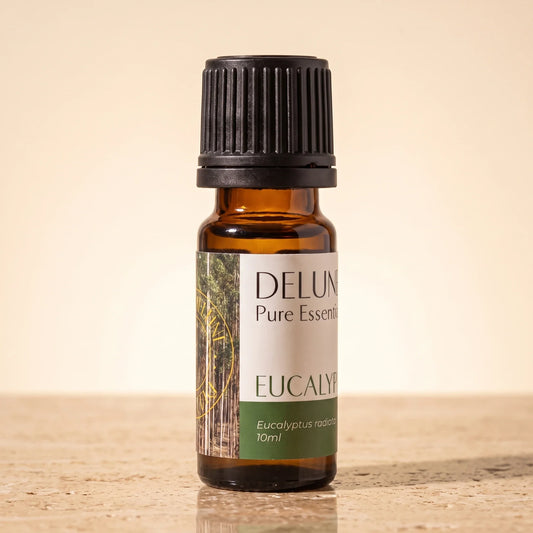 Delune Eucalyptus (Radiata) Pure Essential Oil, 10ml amber glass bottle on warm travertine stone