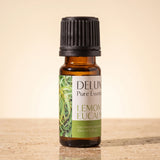 Lemon Eucalyptus Pure Essential Oil