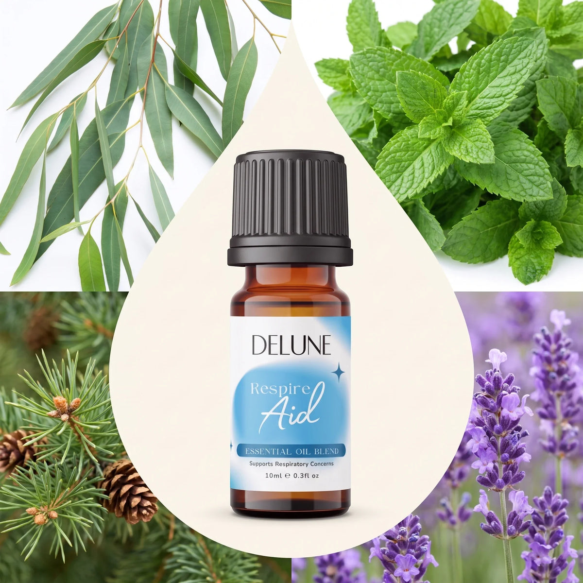 Delune Respire Aid Essential Oil Blend surrounded by its ingredients: eucalyptus, mint, pine and lavender