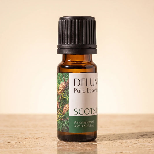Delune Scots Pine Pure Essential Oil, 10ml amber glass bottle on warm travertine stone