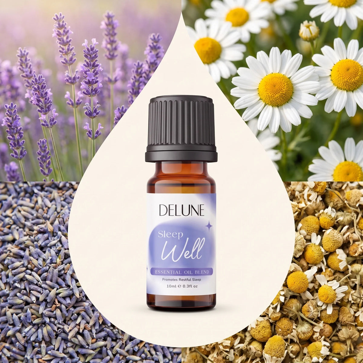 Delune Sleep Well Essential Oil Blend surrounded by its ingredients: fresh and dried lavender and chamomile