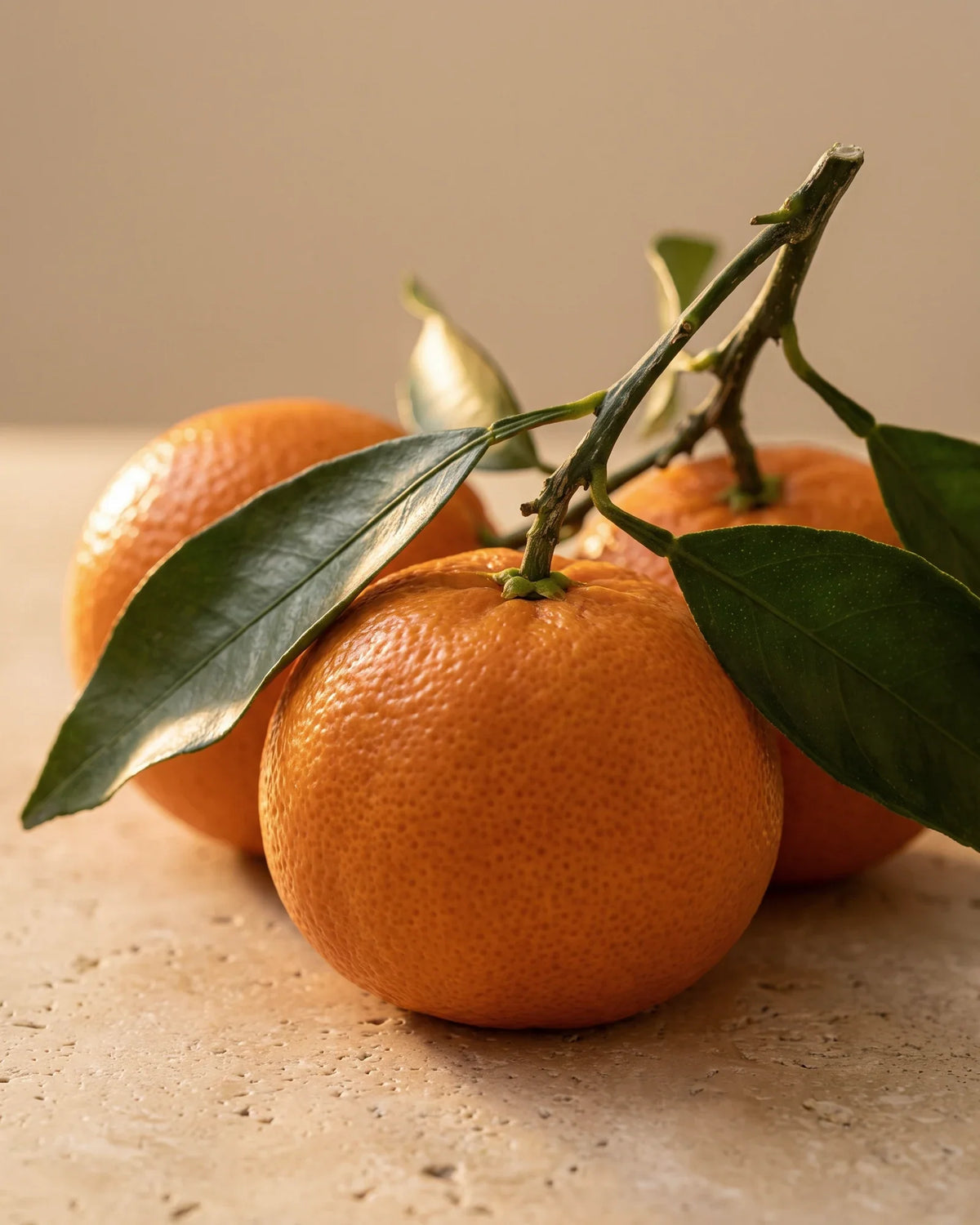 Fresh whole tangerines on a leafy branch in warm light on travertine — the bright, sweet citrus scent of Delune Tangerine Pure Essential Oil
