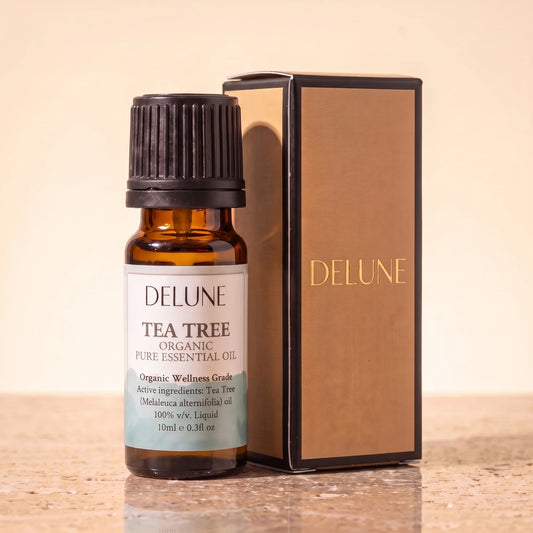 Delune Tea Tree Organic Wellness Grade Essential Oil, 10ml amber glass bottle with its gold-foil Delune gift box on warm travertine stone