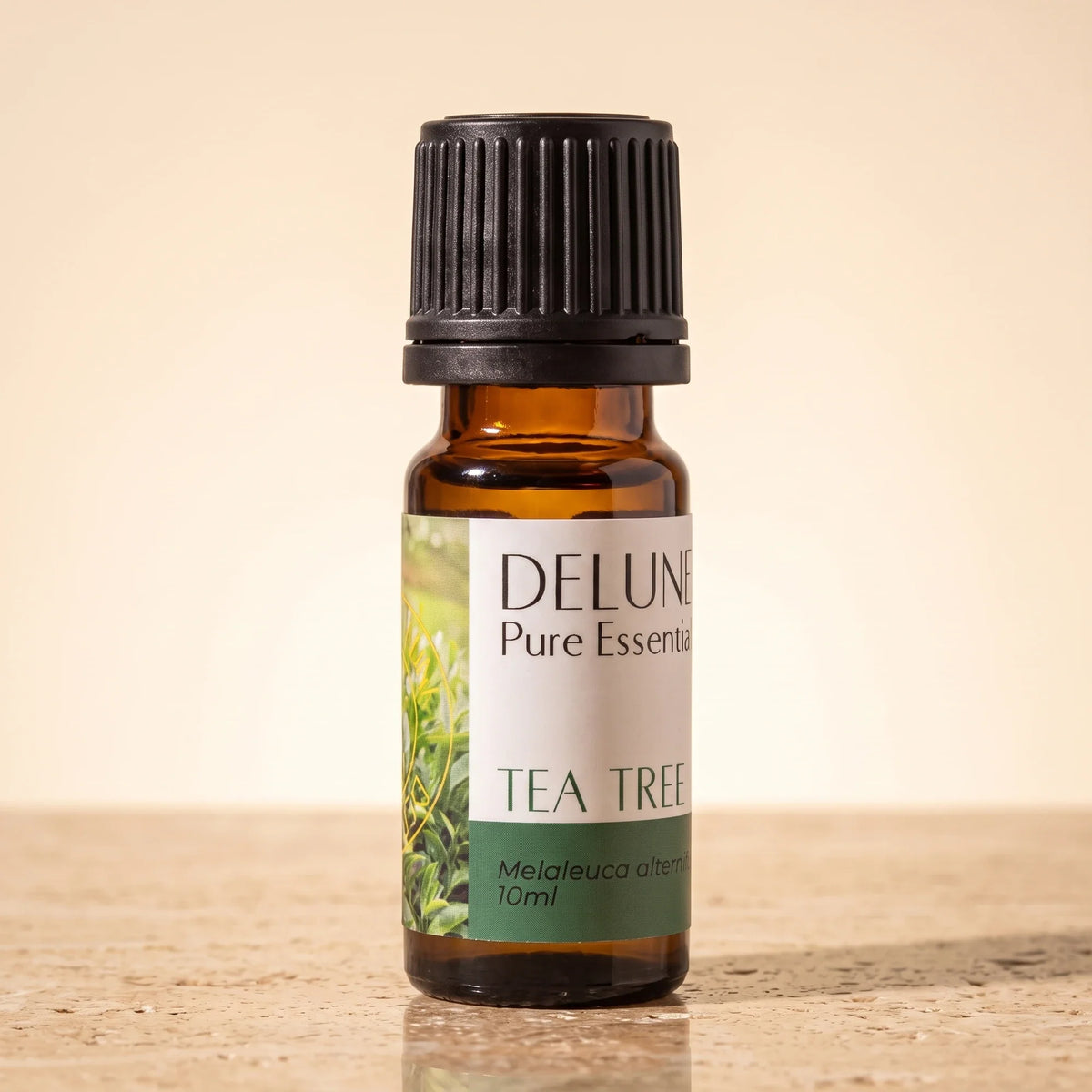 Delune Tea Tree Pure Essential Oil, 10ml amber glass bottle on warm travertine stone