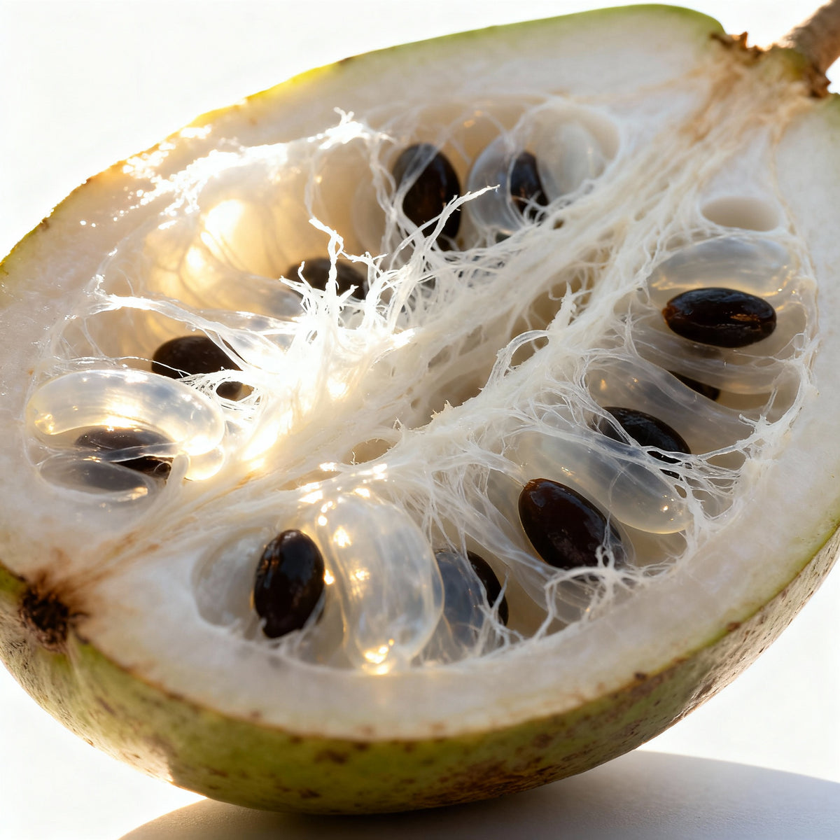 Baobab + Sarsaparilla (Eye Contour) Active Serum Booster